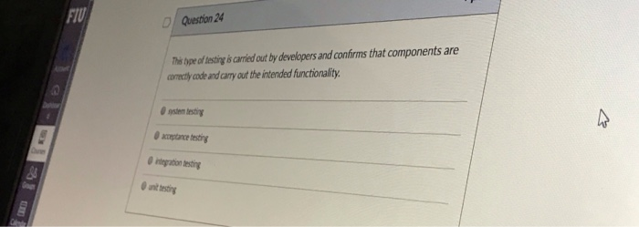 DI Question 24 his type of lestingicaried out by developers and confirms that components are oactly code and carry out the in