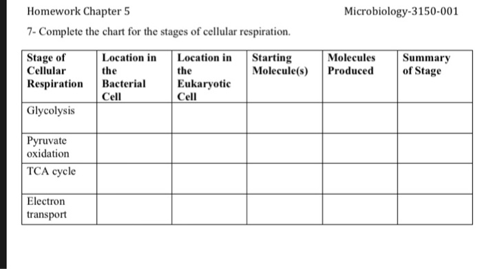 Cellular Respiration Chart Answers