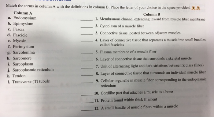 Solved] Match the Key terms in Column A with the definitions in Column