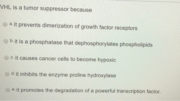 VHL is a tumor suppressor because a. it prevents dimerization of growth factor receptors b. it is a phosphatase that dephosphorylates phospholipids cit causes cancer cells to become hypoxic d it inhibits the enzyme proline hydroxylase e. it promotes the degradation of a powerful transcription factor