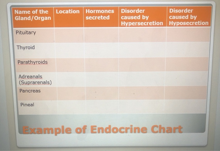 Endocrine Glands Hormones And Their Functions Chart