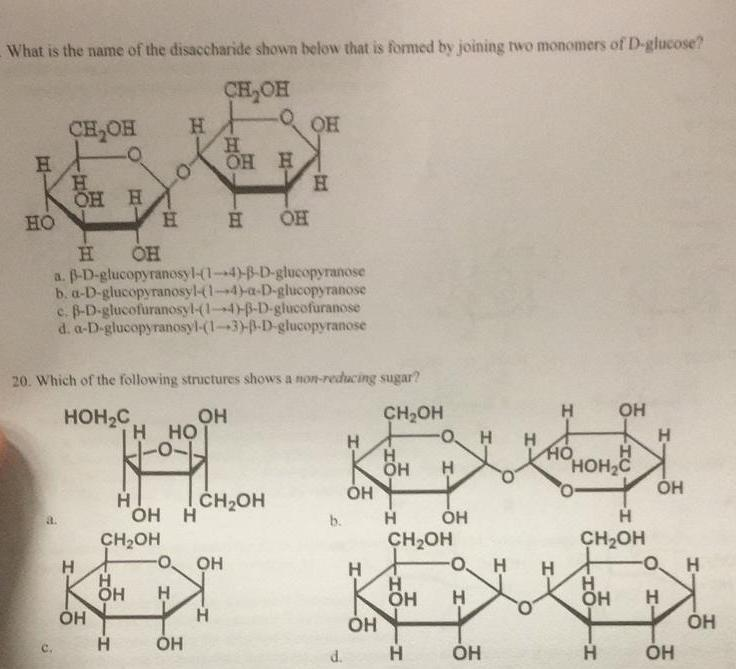 The T Solved: Shown What Disaccharide Of The ... Below Is Name