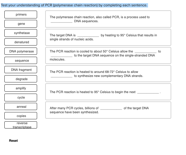solved test your understanding of pcr