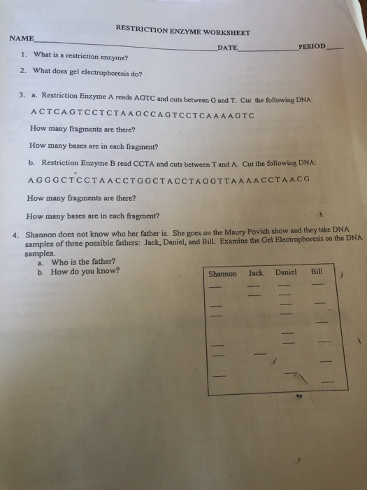 Solved Restriction Enzyme Worksheet Name Date Period 1 What Chegg Com