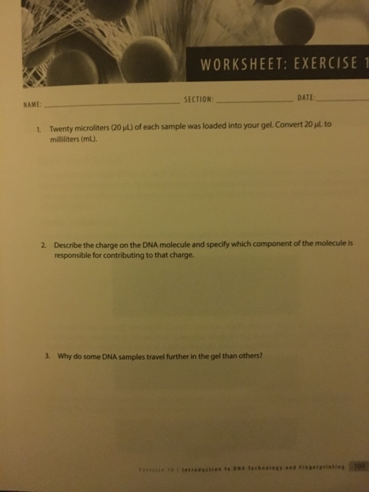 Solved WORKSHEET EXERCISE 1 NAME SECTION DATE Twenty Mic