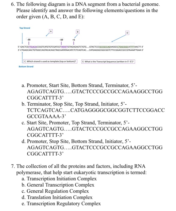 6. The following diagram is a DNA segment from a bacterial genome Please identify and answer the following elements/questions in the order given (A, B, C, D, and E) Top Strand DI 35 -10 o2 5 C. Which strand is used as template (top or bottom)?E.What is the Transcript Sequence (written in 5-3)? Bottom Strand a. Promoter, Start Site, Bottom Strand, Terminator, 5- AGAGTCAGTG...GTACTCCCGCCGCCAGAAGGCCTGG CGGCATTTT-3 b. Terminator, Stop Site, Top Strand, Initiator, 5- TCTCAGTCAC...CATGAGGGGCGGCGGTCTTCCGGACC GCCİTAAAA-3 c. Start Site, Promoter, Top Strand, Terminator, 5- AGAGTCAGTG...GTACTCCCGCCGCCAGAAGGCCTGG CGGCATTTT-3 d. Promoter, Stop Site, Bottom Strand, Initiator, 5- AGAGTCAGTG...GTACTCCCGCCGCCAGAAGGCCTGG CGGCATTTT-3 7. The collection of all the proteins and factors, including RNA polymerase, that help start eukaryotic transcription is termed a. Transcription Initiation Complex b. General Transcription Complex c. General Regulation Complex d. Translation Initiation Complex e. Transcription Regulatory Complex