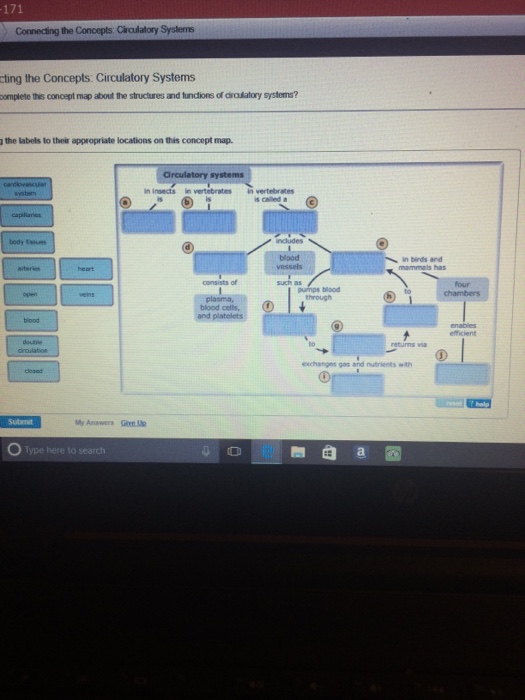 Can You Complete This Concept Map About The Structures And Functions Of Circulatory Systems? Solved: Complete This Concept Map About The Structures And 