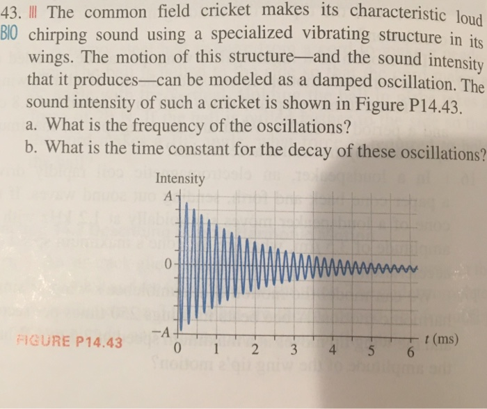 Solved 43 Ii The Common Field Cricket Makes Its Characte - 