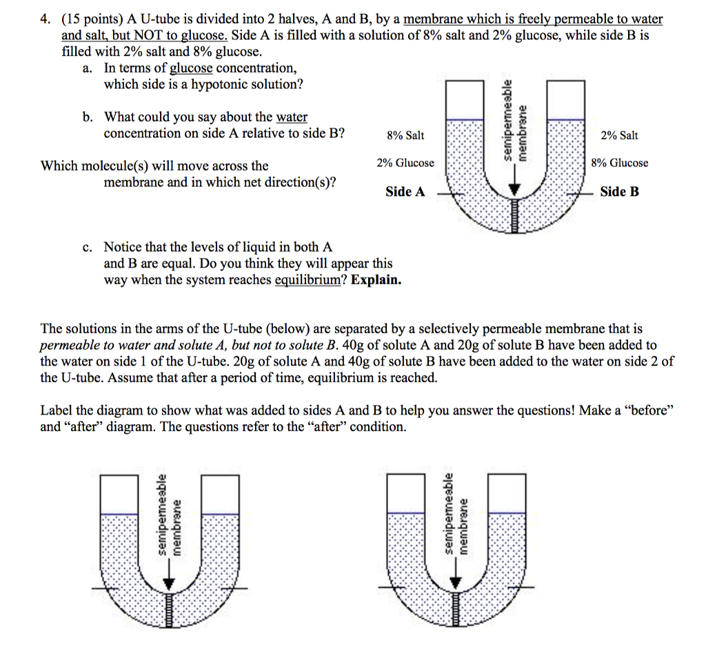 Solved 4 15 Points A U Tube Is Divided Into 2 Halves