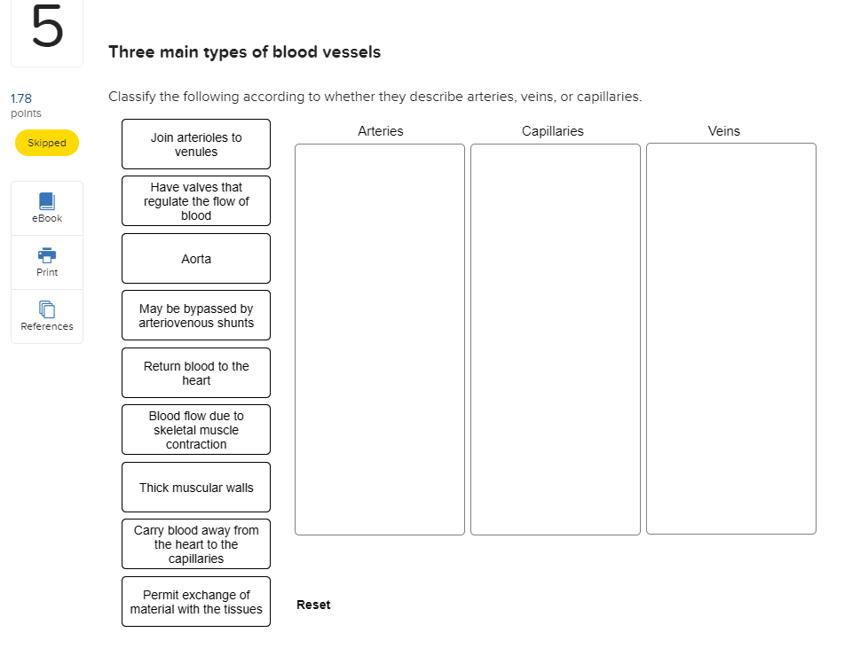 Solved Three Main Types Of Blood Vessels Classify The Fol