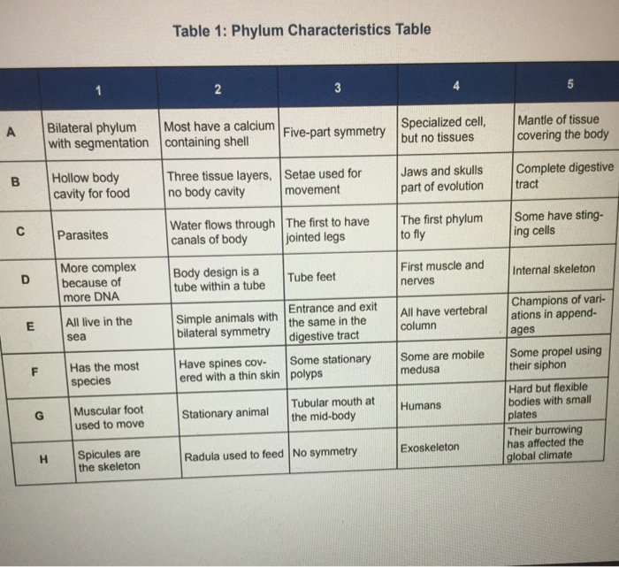 Solved Table 1 Phylum Characteristics Table A Bilateral Chegg Com