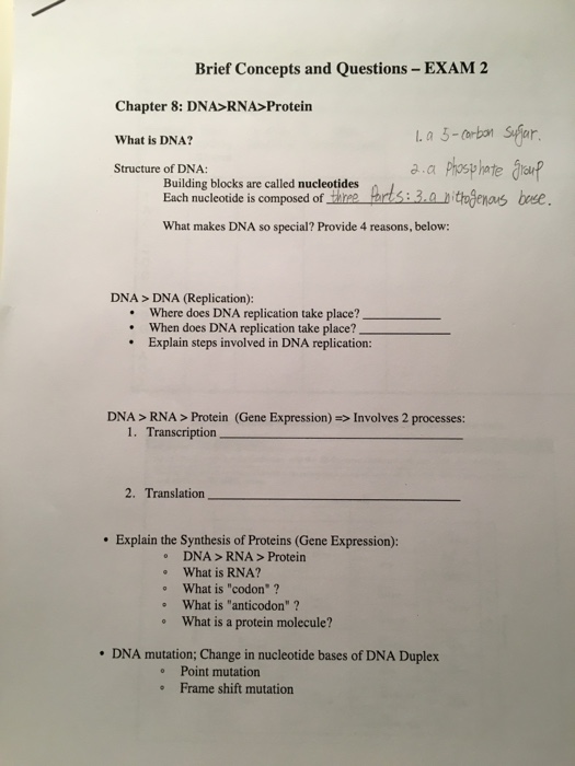 Chapter 8 Biology Test From Dna To Proteins Proteinwalls