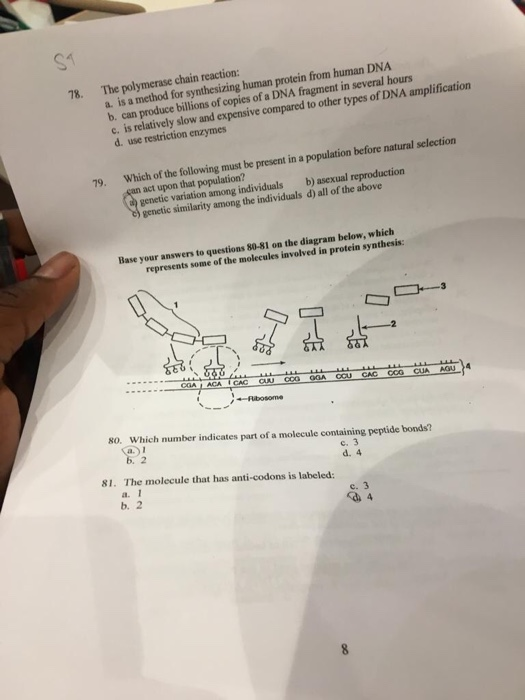 Solved Which Of The Following Has An Anticodon Snrna A