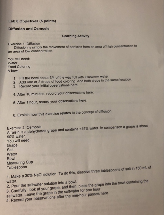 Solved Lab 6 Objectives 5 Points Diffusion And Osmosis Lab 6 Objectives 5 Points Diffusion And Osmosis Learning Activity Exercise 1 Diffusiorn