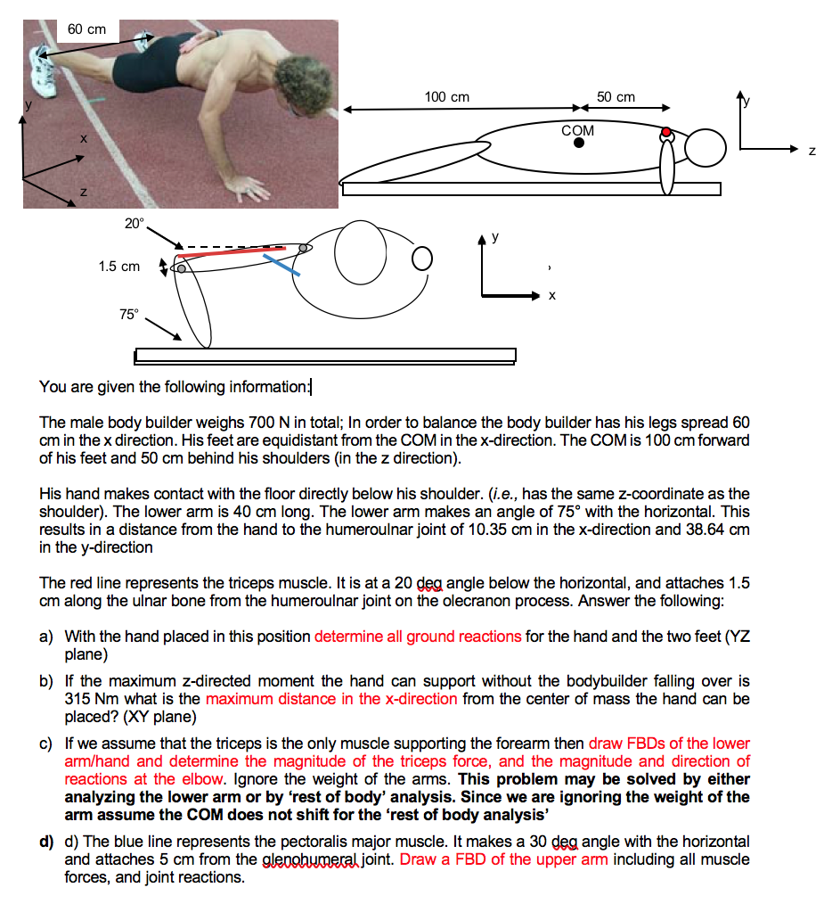 Zetas_channel - Body Shape #1 For Men – TRIANGLE Most men are predisposed  to being larger around the waist and hips in relation to the top part of  their bodies, especially as