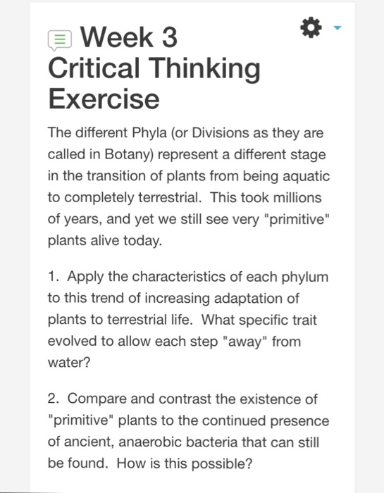 Critical thinking about initial question picture