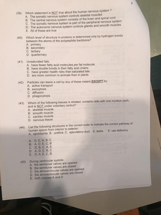 Emporio Armani Emporio Armani Watches  More David Jones