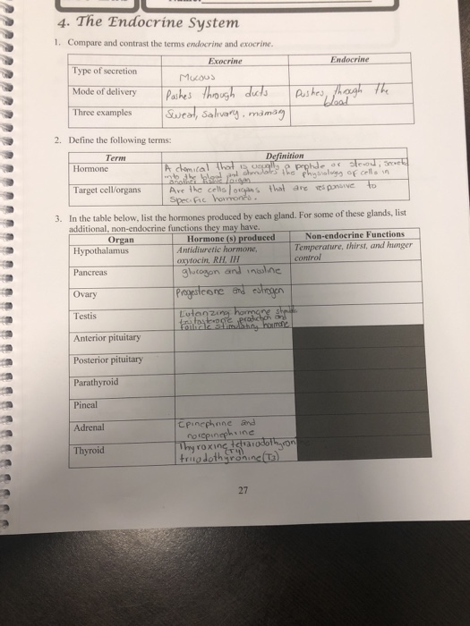 Solved 4 The Endocrine System 1 Compare And Contrast The Chegg Com