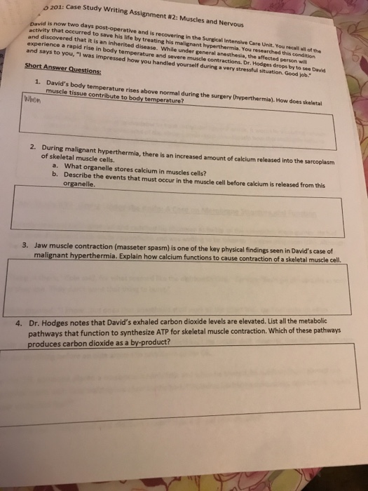 Muscle case study answers picture