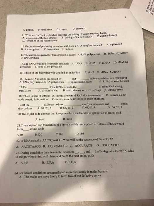 Solved What Step In Dna Replication Precedes The Pairing Chegg Com