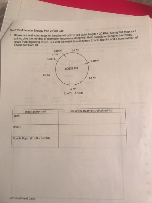 Below Is A Restriction Map For The Plasmid Pgen 101 Chegg 