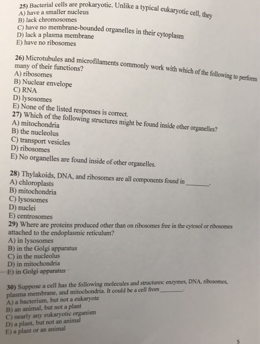 which of the following are found in plant, animal, and bacterial cells?