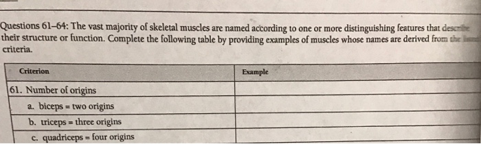 Solved: The Vast Majority Of Skeletal Muscles Are Named Ac ...