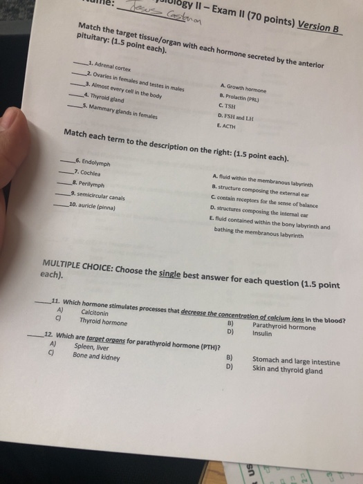 Ogy Exam Ii 70 Points Version B Aine 01 Match The Chegg Com