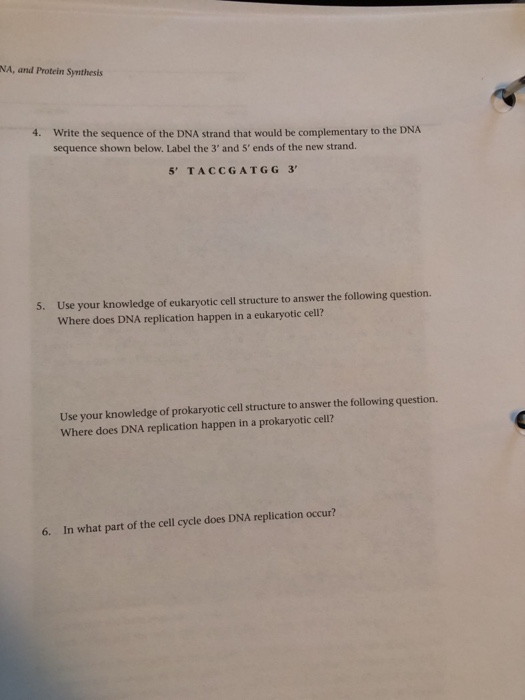 Solved Name Section Instructor Questions 1 Why Is Comple Chegg Com