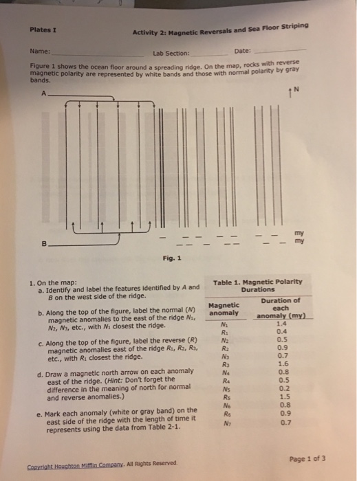 Solved Plates I Activity 2 Magnetic Reversals And Sea Fl