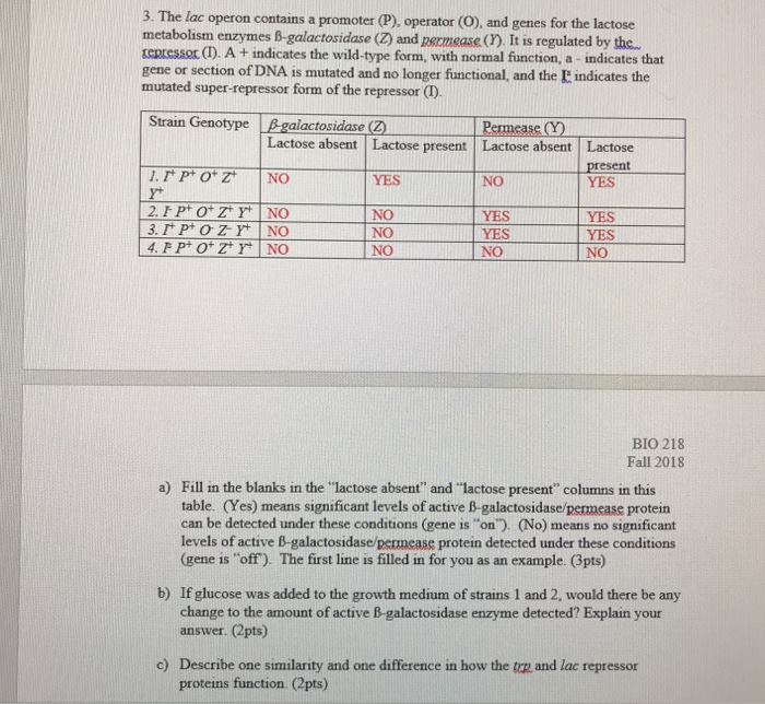 Solved Normal function of the lac operon means that the cell