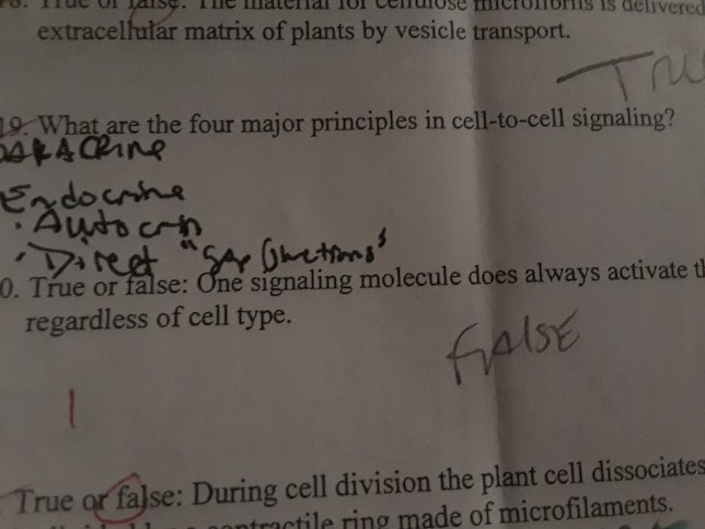 Solved What Are The Four Major Principles In Cell Cell Si - 