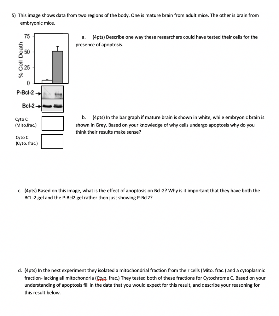 Solved 5 This Image Shows Data From Two Regions Of The B - 