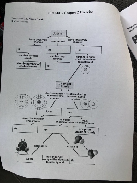 Section 13-1 dna technology worksheet answers image