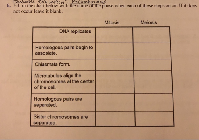 6 Fill In The Chart Below With The Name Of The Phase Chegg 