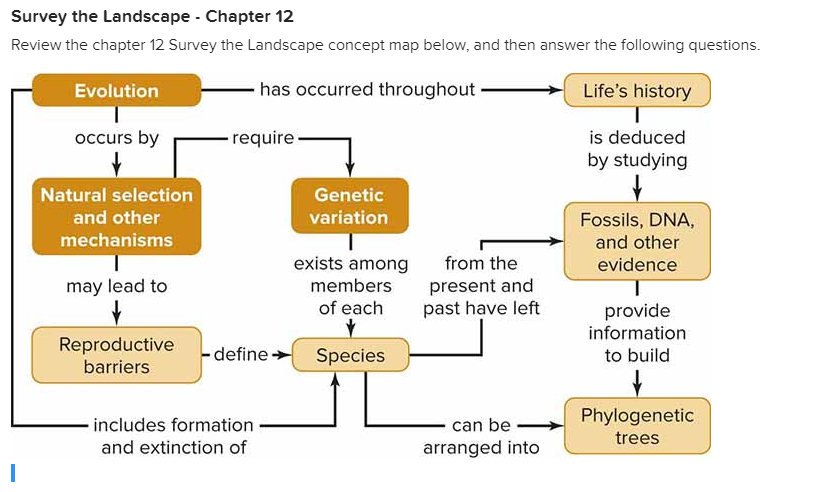 Genetic Variation Concept Map Solved: Survey The Landscape Chapter 12 Review The Chapter 