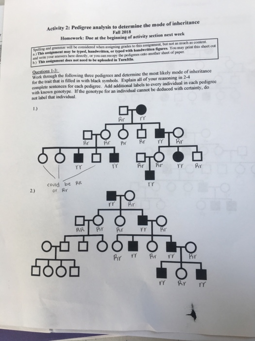 Solved: Activity 2: Pedigree Analysis To Determine The Mod ...