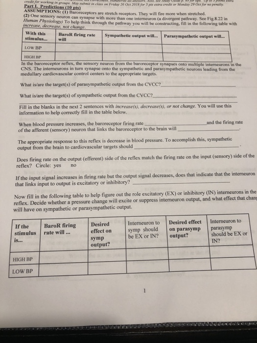 Signal fire essay 08 image