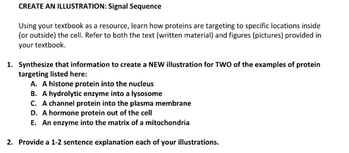 CREATE AN ILLUSTRATION: Signal Sequence Using your textbook as a resource, learn how proteins are targeting to specific locations inside (or outside) the cell. Refer to both the text (written material) and figures (pictures) provided in your textbook. Synthesize that information to create a NEW illustration for TWO of the examples of protein targeting listed here: 1. A. A histone protein into the nucleus B. A hydrolytic enzyme into a lysosome C. A channel protein into the plasma membrane D. A hormone protein out of the cell E. An enzyme into the matrix of a mitochondria 2. Provide a 1-2 sentence explanation each of your illustrations.
