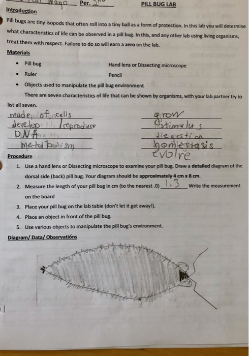 Per Pill Bug Lab Introduction Bugs Are Tiny Isopods Chegg 