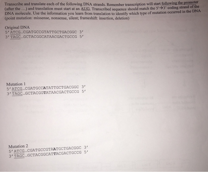Solved Transcribe And Translate Each Of The Following Dna Chegg Com