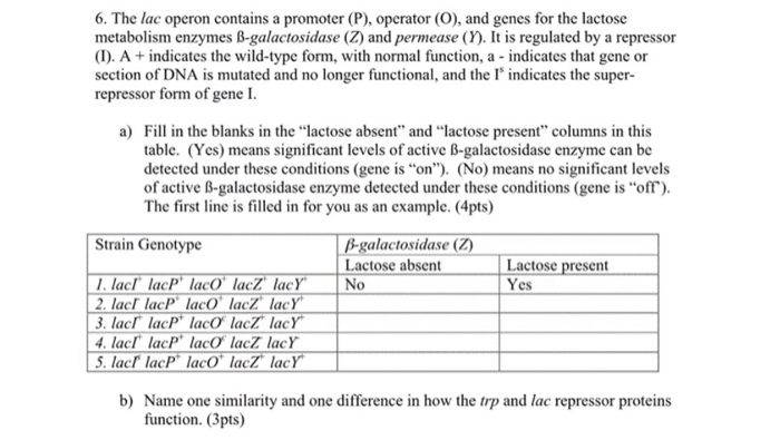 Solved Normal function of the lac operon means that the cell