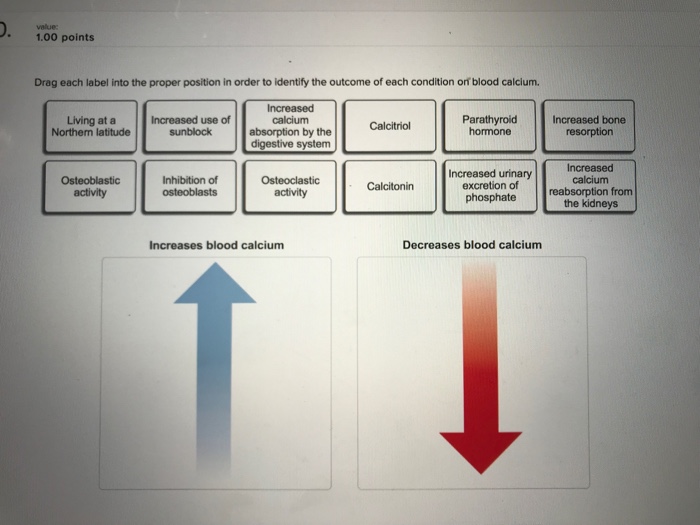 Solved: 1.00 Points Drag Each Label Into The Proper Positi ...