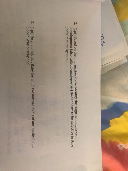 Baby joe case study picture