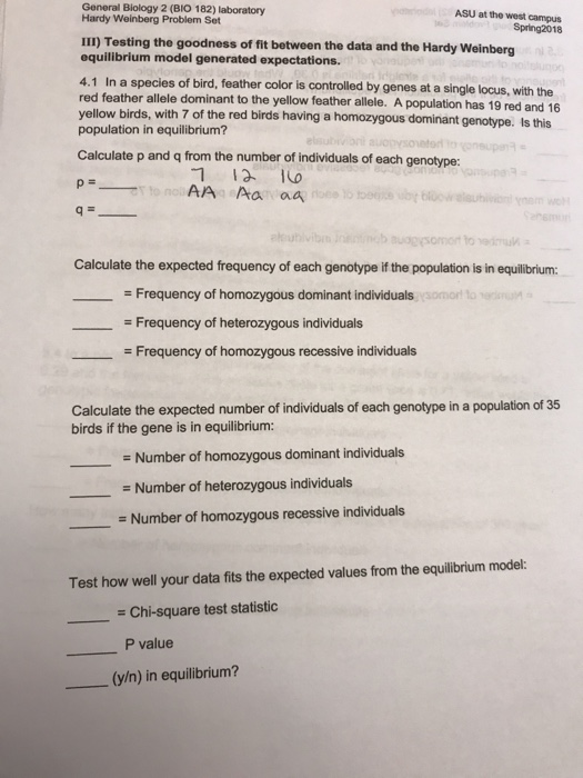 Solved General Biology 2 Bio 182 Laboratory Hardy Weinb Chegg Com