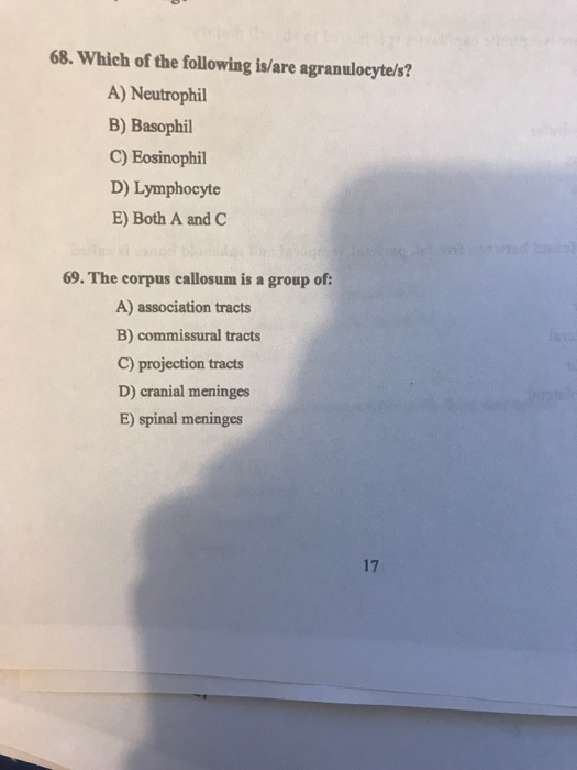 Solved 68. Which Of The Following Is/Are Agranulocyte/S? A) | Chegg.com