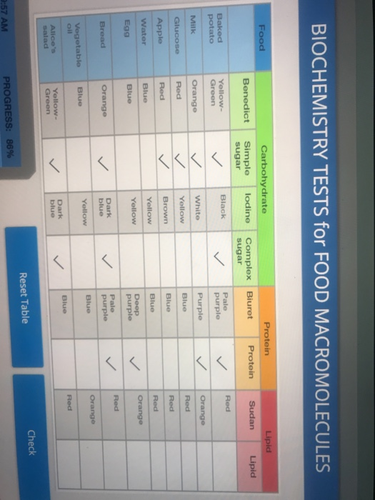 Labster Answers Food Macromolecules