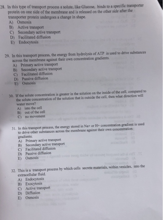 Solved 28 In This Type Of Transport Process A Solute Like Chegg Com