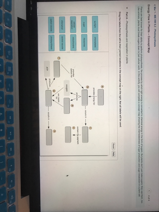 Energy Flow In Plants -- Concept Map Solved: Fill In The Blanks A Thru H With The Options Given 