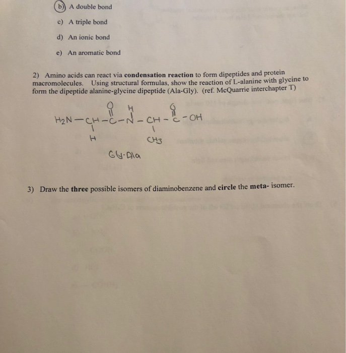 Solved Draw The 3 Possible Isomers Of Diaminobenzene And Chegg Com